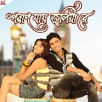 Paran Jai Jaliya Re (2009)