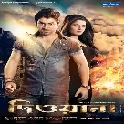 Deewana (2013)