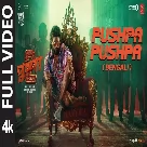 Pushpa Pushpa (Pushpa 2) Timir Biswas-(WebMusic.Co.In)