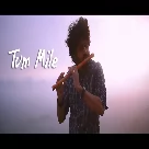 Tum Mile Dil Khile Instrumental Cover Varun Kumar