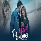 Tu Meri Zindagi - Keshab Dey, Jyoti Majumdar